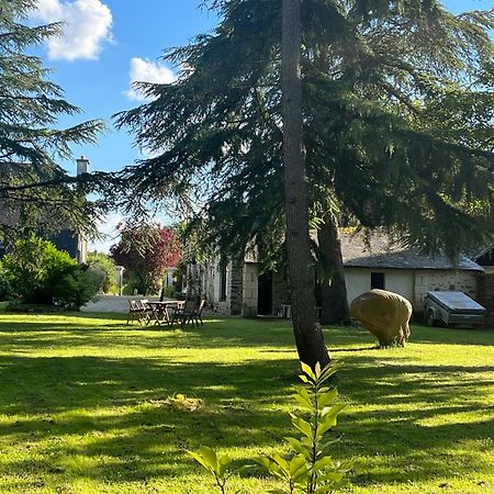 Maison De Charme Saint-Saturnin-sur-Loire Dış mekan fotoğraf